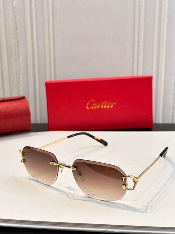 Cartier Sunglasses 1021